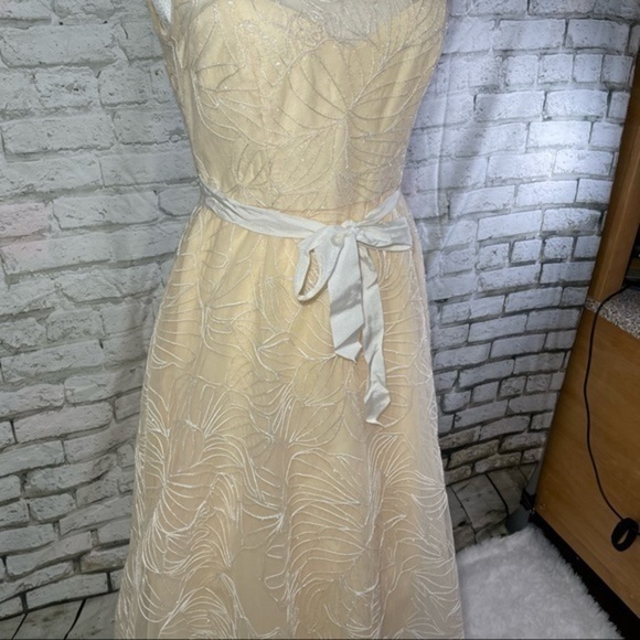 BCBG Off White Sheer Yoke MIDI Dress 4 - Picture 9 of 16